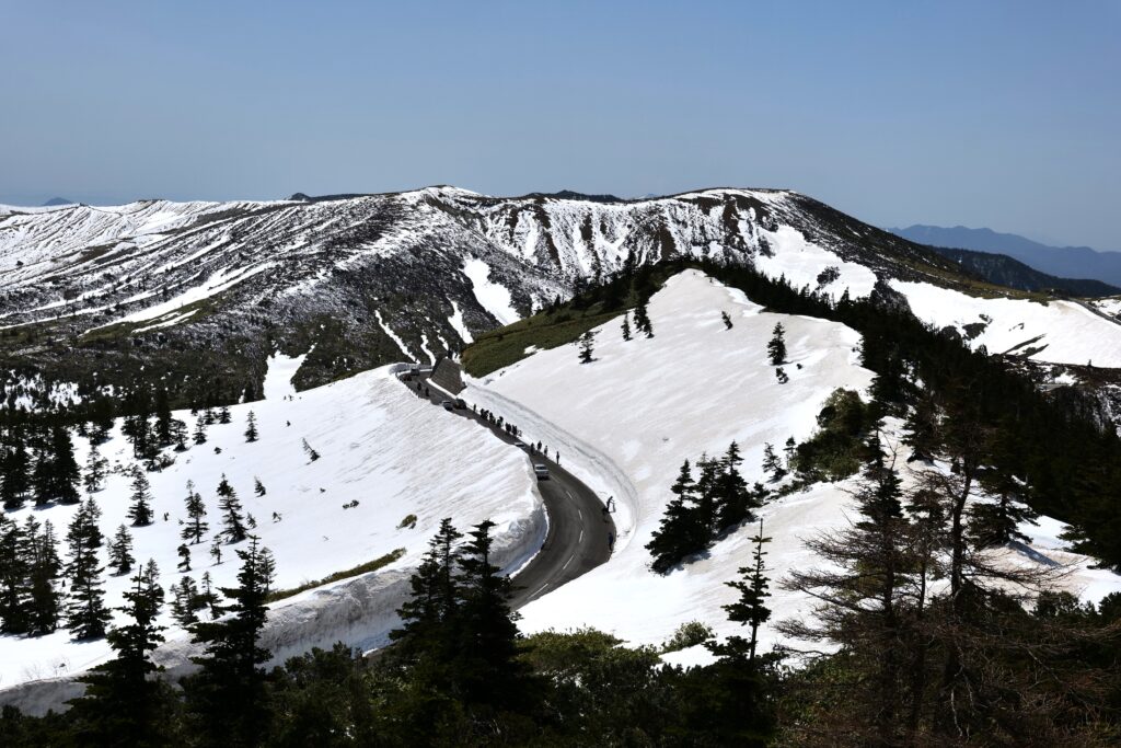 志賀草津高原ルート　雪の回廊